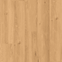 CO50LVREXL5158_1.png