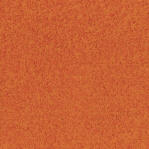 Teppeflis - DESSO Palatino - A072 5206