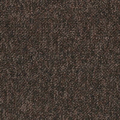 TAA1382921.jpg