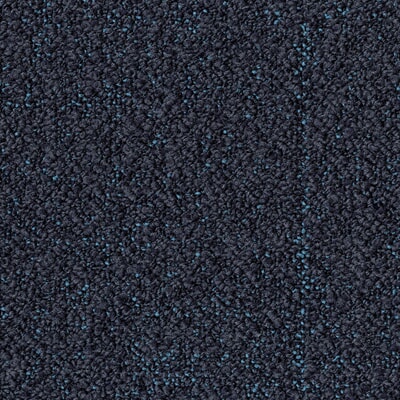 TAAA238911.jpg