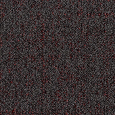 TAAA239980.jpg