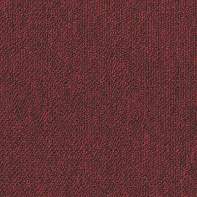 TAAA904218.jpg
