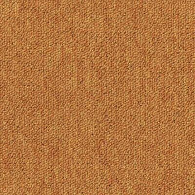 TAAB055420.jpg