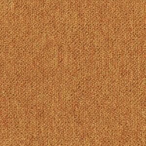 Teppeflis - DESSO Essence - AB05 5420