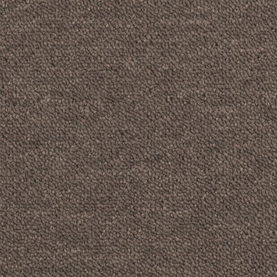 TAAA909096.jpg