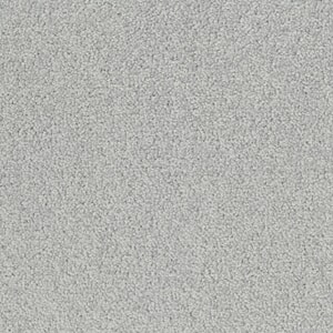 Teppeflis - DESSO LRV Palatino Ecobase - B359 2502